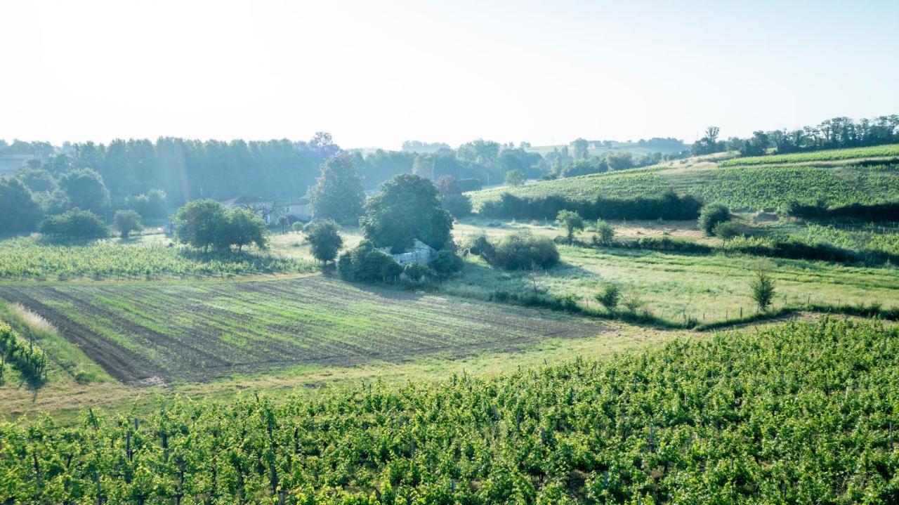 Suite Campagnarde Pres Bordeaux, Vue Sur Les Vignes Au Chateau Camponac Bourg-sur-Gironde Exterior foto